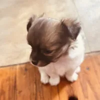 processed/f98d9eb6-511d-42d0-9442-64d46109feae/listing/dafa5c13-8777-4e5b-8381-7ddf8e7a8c8a/afbda140-c3cc-4d7b-a540-65b93e74a8f7