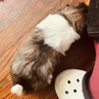 processed/f98d9eb6-511d-42d0-9442-64d46109feae/listing/dafa5c13-8777-4e5b-8381-7ddf8e7a8c8a/b9ee9731-e13c-49df-8532-c2547aa7ac19