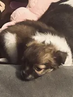 processed/f98d9eb6-511d-42d0-9442-64d46109feae/listing/dafa5c13-8777-4e5b-8381-7ddf8e7a8c8a/e03b2763-d921-4797-954b-9d2eff96a7de