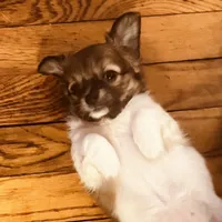 processed/f98d9eb6-511d-42d0-9442-64d46109feae/listing/dafa5c13-8777-4e5b-8381-7ddf8e7a8c8a/e53b909a-3a2d-41f9-9d7c-ff8c164e739a