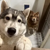 processed/f9983e8e-2963-42c3-8cdb-af489c176ee5/facility/1d97cd0a-5b86-444b-b013-ad70d0915bb1