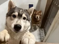 processed/f9983e8e-2963-42c3-8cdb-af489c176ee5/facility/1d97cd0a-5b86-444b-b013-ad70d0915bb1