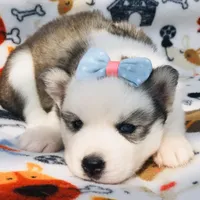 processed/f9983e8e-2963-42c3-8cdb-af489c176ee5/facility/20e20003-9228-4d6e-bfab-e474d1bd5e9a