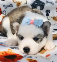 processed/f9983e8e-2963-42c3-8cdb-af489c176ee5/facility/20e20003-9228-4d6e-bfab-e474d1bd5e9a