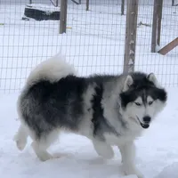 processed/f9983e8e-2963-42c3-8cdb-af489c176ee5/facility/5a2b71ee-869d-4460-b678-ef512ca82d09