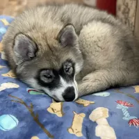 processed/f9983e8e-2963-42c3-8cdb-af489c176ee5/facility/b1c46172-60ac-49e7-b171-8fdd0aa44372