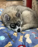 processed/f9983e8e-2963-42c3-8cdb-af489c176ee5/facility/b1c46172-60ac-49e7-b171-8fdd0aa44372