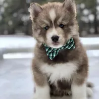 processed/f9983e8e-2963-42c3-8cdb-af489c176ee5/facility/de593653-7702-4bd0-8f20-106b38a53f27