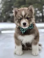 processed/f9983e8e-2963-42c3-8cdb-af489c176ee5/facility/de593653-7702-4bd0-8f20-106b38a53f27