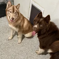 processed/f9983e8e-2963-42c3-8cdb-af489c176ee5/facility/f5dfa5a8-c49c-4c37-a421-9a8251f82f1f