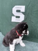 processed/f9983e8e-2963-42c3-8cdb-af489c176ee5/listing/a875bb6c-a05b-4fe0-9b77-94b0e4c2d864/3263817c-bef1-43de-bc06-5565c2bacf90