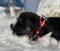 processed/f9983e8e-2963-42c3-8cdb-af489c176ee5/listing/a875bb6c-a05b-4fe0-9b77-94b0e4c2d864/618b5faa-1418-401d-abbc-7cb9cb1180d9