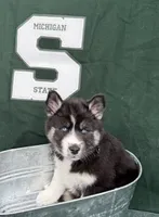 processed/f9983e8e-2963-42c3-8cdb-af489c176ee5/listing/a875bb6c-a05b-4fe0-9b77-94b0e4c2d864/957ffa9f-39cb-4624-a816-1cd52336e7e8