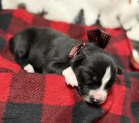 processed/f9983e8e-2963-42c3-8cdb-af489c176ee5/listing/f459a6b2-3ee4-4644-903c-800e76851ff1/0a65bddf-fa4d-4009-8fb0-59c730565a7b