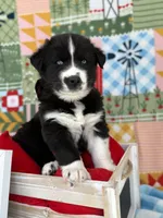 processed/f9983e8e-2963-42c3-8cdb-af489c176ee5/listing/f459a6b2-3ee4-4644-903c-800e76851ff1/23b51d89-2c41-41d9-8b94-ca7e107682e8