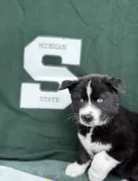 processed/f9983e8e-2963-42c3-8cdb-af489c176ee5/listing/f459a6b2-3ee4-4644-903c-800e76851ff1/459c378b-b2a5-49a6-94f2-860cd3e5cd2e