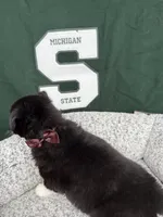 processed/f9983e8e-2963-42c3-8cdb-af489c176ee5/listing/f459a6b2-3ee4-4644-903c-800e76851ff1/848ca40c-2d52-4455-9be0-d0f98f6479fc