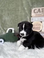 processed/f9983e8e-2963-42c3-8cdb-af489c176ee5/listing/f459a6b2-3ee4-4644-903c-800e76851ff1/8f5d15e7-f41c-4367-9aee-148ff2d1776c