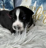 processed/f9983e8e-2963-42c3-8cdb-af489c176ee5/listing/f459a6b2-3ee4-4644-903c-800e76851ff1/b711c7a7-aaa9-4c60-90a7-680d9c00f304