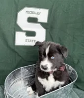 processed/f9983e8e-2963-42c3-8cdb-af489c176ee5/listing/f459a6b2-3ee4-4644-903c-800e76851ff1/d7735feb-5efb-43e7-8ec5-eff752fc51d6