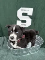 processed/f9983e8e-2963-42c3-8cdb-af489c176ee5/listing/f459a6b2-3ee4-4644-903c-800e76851ff1/fc25044c-c417-4ce2-bb55-7a6c41f2a6d4