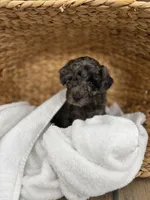 processed/f9a25320-0fea-4554-80cc-f3174bd2e609/listing/04fc256f-b441-4726-89af-440ab3302ba4/508f8a57-023d-4557-813f-9ea235a49e00