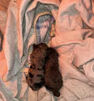 processed/f9a25320-0fea-4554-80cc-f3174bd2e609/listing/04fc256f-b441-4726-89af-440ab3302ba4/efde6b51-ca25-43e7-9102-712992f3912d