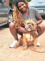 processed/f9a41d06-668a-4522-9173-5e206f2f67bb/facility/257a0a96-53b5-4401-876c-3d580a24b12b