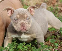 processed/f9a41d06-668a-4522-9173-5e206f2f67bb/facility/2ad06691-f315-47d2-87b4-817b4817ef4c