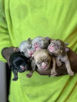 processed/f9a41d06-668a-4522-9173-5e206f2f67bb/facility/6e5c290d-6c23-4334-a74d-0605885c0e0a