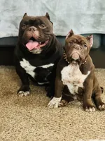 processed/f9a41d06-668a-4522-9173-5e206f2f67bb/facility/c73c628e-abc2-4cd5-abf1-3bcd677ed50c