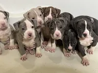 processed/f9a41d06-668a-4522-9173-5e206f2f67bb/facility/e6a8eaa7-f825-46c9-8932-9dc0b1cdeb43