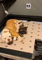 processed/f9a41d06-668a-4522-9173-5e206f2f67bb/facility/f5675833-5fd7-4d6f-b7db-7b8cca47e94b