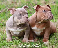 processed/f9a41d06-668a-4522-9173-5e206f2f67bb/facility/f834d276-f920-45d9-976c-8077682e41d7