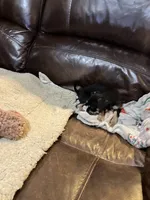 processed/f9a4c77b-c0fc-4933-986a-ed1c34511f0d/listing/3d5db294-58f1-43a7-9c51-f6e35341ea50/7a57164b-0b83-4535-b9c3-b3b5e34a7c57