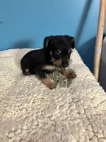 processed/f9a4c77b-c0fc-4933-986a-ed1c34511f0d/listing/3d5db294-58f1-43a7-9c51-f6e35341ea50/82d8a128-31c5-4bc7-8db1-7848e2eeaf89