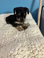 processed/f9a4c77b-c0fc-4933-986a-ed1c34511f0d/listing/3d5db294-58f1-43a7-9c51-f6e35341ea50/efba8b88-2839-40de-bc5c-18858dd8c42a