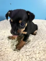 processed/f9a4c77b-c0fc-4933-986a-ed1c34511f0d/listing/c854cce0-1f4a-4407-80b7-4d7b45acc8ac/346b50b6-9baa-4595-b734-06064888d55c