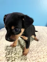 processed/f9a4c77b-c0fc-4933-986a-ed1c34511f0d/listing/c854cce0-1f4a-4407-80b7-4d7b45acc8ac/a122a647-dbc5-4ff3-a868-4031e015a374