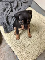 processed/f9a4c77b-c0fc-4933-986a-ed1c34511f0d/listing/f5af95f6-ed62-4f7a-928c-d76af20c6541/6f511d8f-49bd-499c-bf24-e9e02cf48046