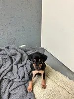 processed/f9a4c77b-c0fc-4933-986a-ed1c34511f0d/listing/f5af95f6-ed62-4f7a-928c-d76af20c6541/91d02464-7e5e-4bee-b28a-773cda2043dc