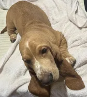 processed/f9ac3edb-90e3-496b-b6ba-82712f7d8abd/facility/2964fe7a-8dbd-4b0b-8e27-7e57b5fdd751