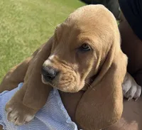 processed/f9ac3edb-90e3-496b-b6ba-82712f7d8abd/facility/2bbbeecf-2b65-4fa7-af53-1647061829b9