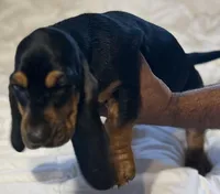 processed/f9ac3edb-90e3-496b-b6ba-82712f7d8abd/facility/30a59b3d-3327-4717-bef1-6c87ea505c8e