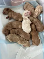 processed/f9ac3edb-90e3-496b-b6ba-82712f7d8abd/facility/350bfdd4-3122-4dee-b452-7d4d911305ac