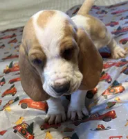 processed/f9ac3edb-90e3-496b-b6ba-82712f7d8abd/facility/5001e929-e1e3-413e-afa0-9d8e1b7439d9