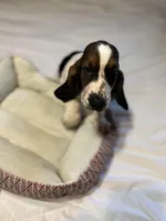 processed/f9ac3edb-90e3-496b-b6ba-82712f7d8abd/facility/516afa49-0787-4e68-9632-643ec423bfc5