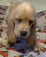 processed/f9ac3edb-90e3-496b-b6ba-82712f7d8abd/facility/aa84af0b-ec4d-4d8d-9565-68e2f743b87a