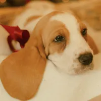 processed/f9ac3edb-90e3-496b-b6ba-82712f7d8abd/facility/c6a5e5cc-6fd6-43f4-8c15-f0f5e9894c34