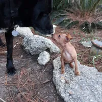 processed/f9c27b33-ae5f-4d0c-98e0-63265eae79a0/facility/3533924b-91c2-4577-99a6-9c5fd5387dbd